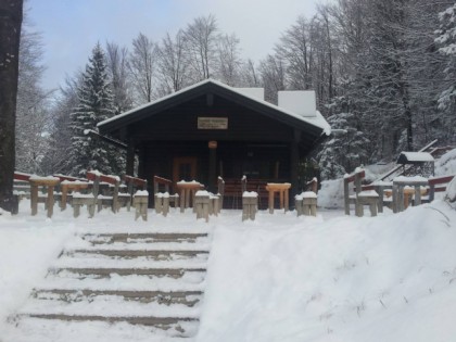 照片: Grünsteinhütte